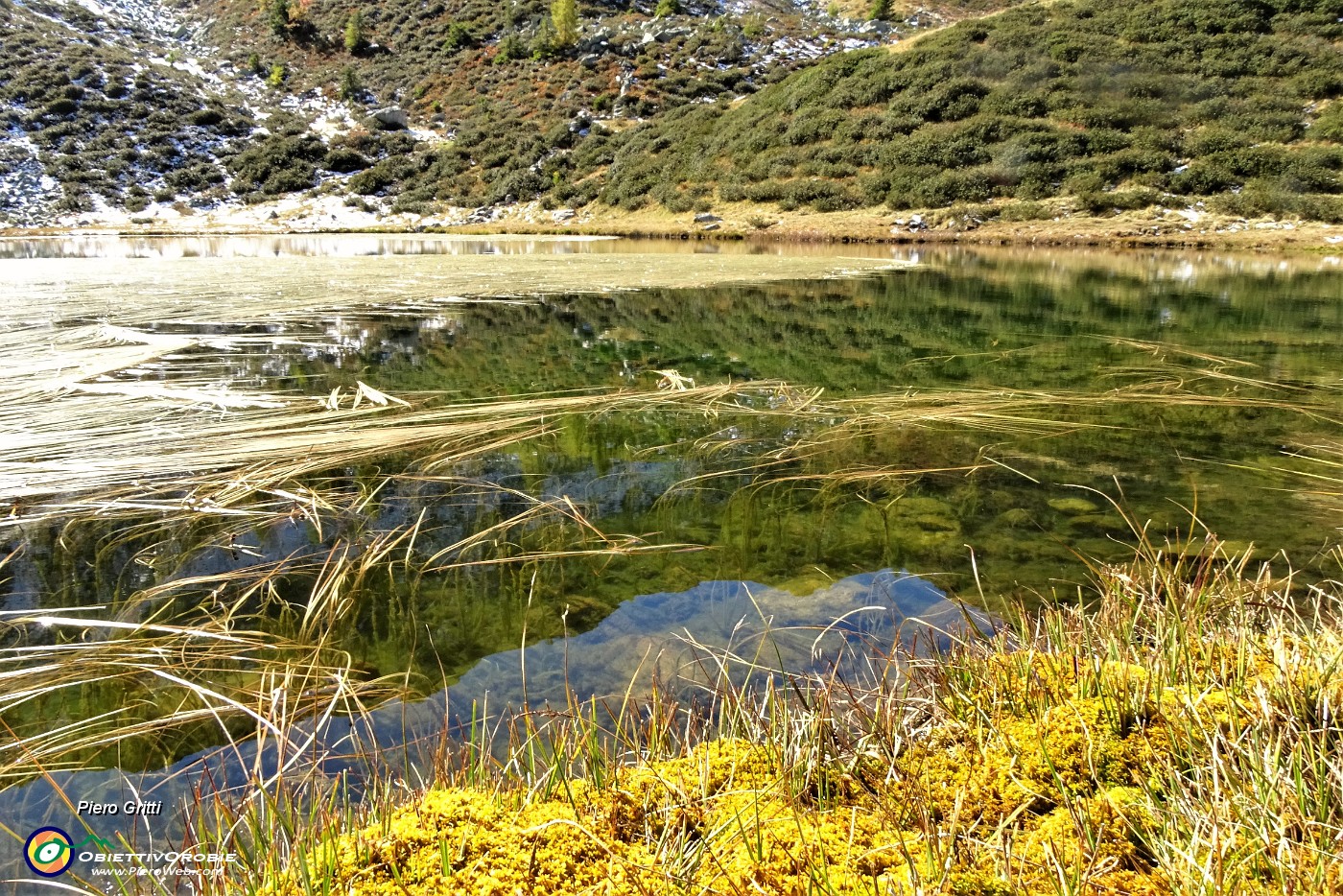 51 Lago Piccolo ricoperto in gran parte da erbe acquatiche.JPG -                                